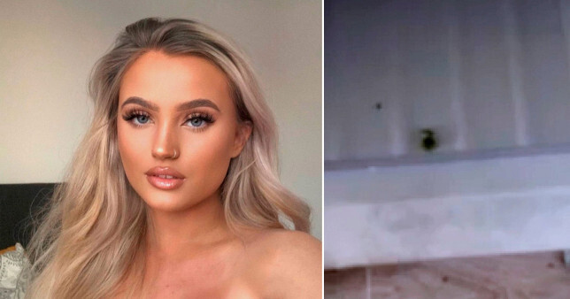 Bỏ lại một hạt đậu trong tủ lạnh, nữ sinh viên