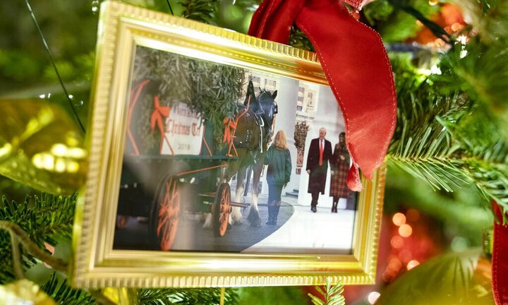 Phu nhân Biden gây bất ngờ khi treo ảnh cựu Tổng thống Trump lên cây thông Giáng sinh Nhà Trắng