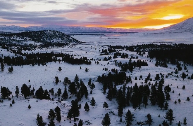 Mỹ: Người phụ nữ sống sót thần kỳ sau 6 ngày mắc kẹt trong rừng nhờ ăn sữa chua và tuyết