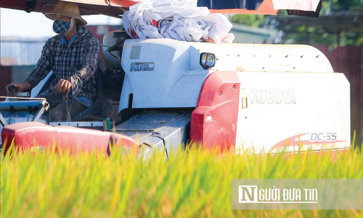 Áp thuế giảm giá phân bón: Doanh nghiệp than khó, Bộ trưởng nói nên chia sẻ!