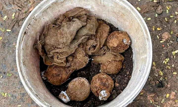 Đào được 10 quả lựu đạn ở Đà Nẵng khi đang thi công vỉa hè