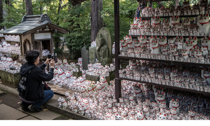 Điều thú vị về chú mèo thần tài maneki-neko đến từ Nhật Bản