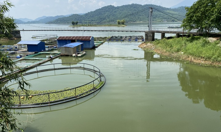 Thái Nguyên công bố danh sách 387 hồ, ao, đầm không được phép san lấp