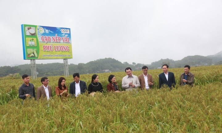 Huyện Phú Lương, Thái Nguyên: “Quả ngọt” sau hơn 10 năm xây dựng Nông thôn mới