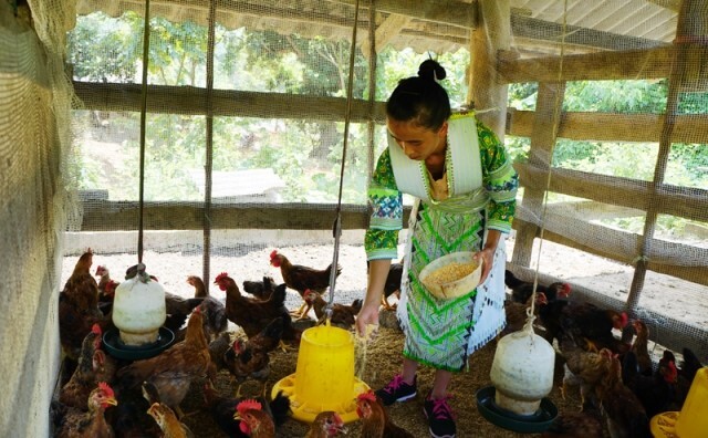 Thái Nguyên: Nỗ lực giảm nghèo, không để ai bị bỏ lại phía sau