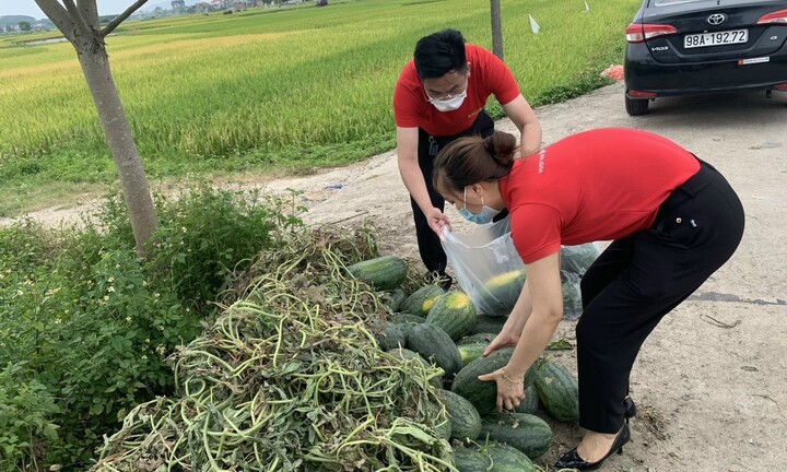 Sáng kiến giải cứu dưa hấu thành nước ép sinh tố bổ sung năng lượng cho “chiến sĩ áo trắng chống dịch covid” tại Bắc Giang