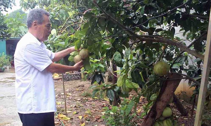 Bệnh binh Đỗ Tiến Lực xung kích trên