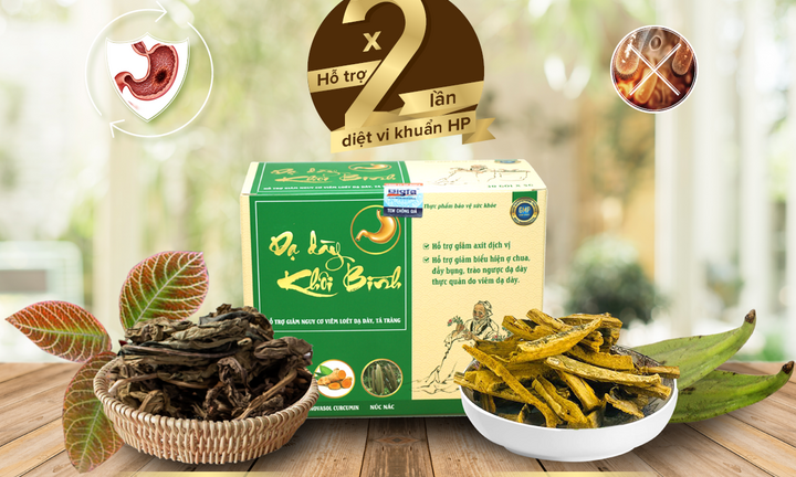 Dạ Dày Khôi Bình - Hiệp lực bộ đôi dược liệu vàng trong Đông Y hỗ trợ điều trị vi khuẩn HP