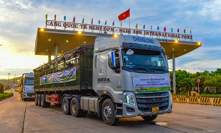 Vinamilk tăng cường đàn bò sữa cho các Green Farm với hơn 1.500 bò sữa nhập từ Mỹ