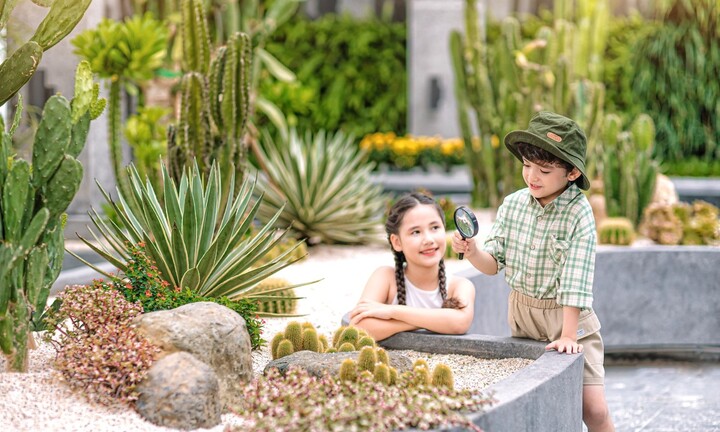 Khám phá “Bộ tứ vườn xanh” độc đáo chỉ có tại The Zei 