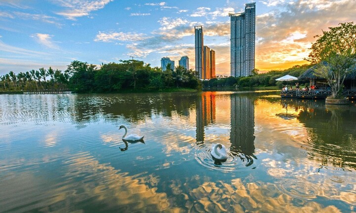 Những mảng rừng xanh vun đắp tâm hồn tại KĐT Ecopark