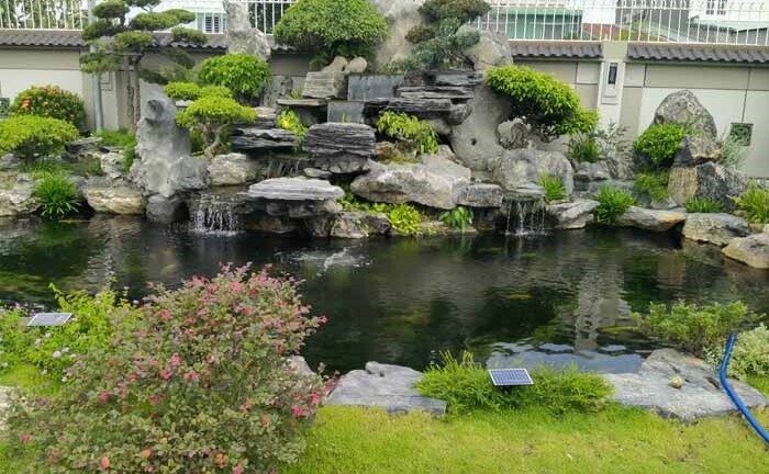 Hồ các Koi miền Nam – Đơn vị thi công hồ cá Koi uy tín