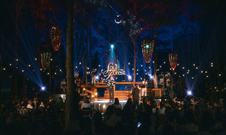 Đêm nhạc Soul of the Forest “Tình đầu” lãng mạn và đầy cuốn hút