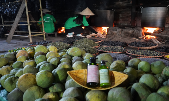 TikToker Nguyễn Vy Family– Nữ TikToker đa tài với câu chuyện khởi nghiệp kinh doanh đầy nỗ lực