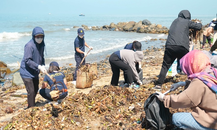 Một dự án căn hộ nghỉ dưỡng chung tay làm sạch bãi biển