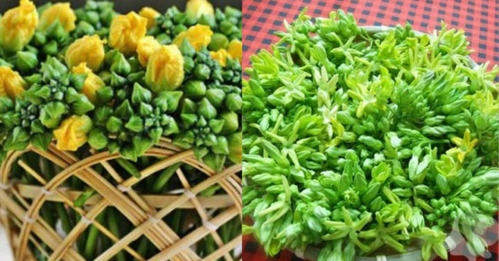 Trị mất ngủ, đau đầu với 2 món rau dân giã trong vườn