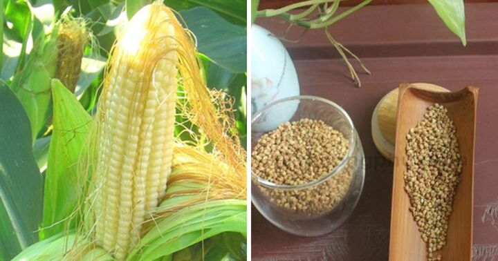 2 loại thực phẩm 