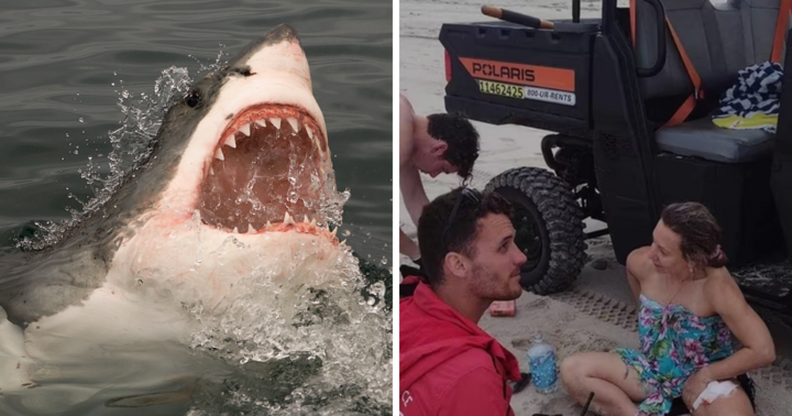 Chuyến du lịch biến thành 