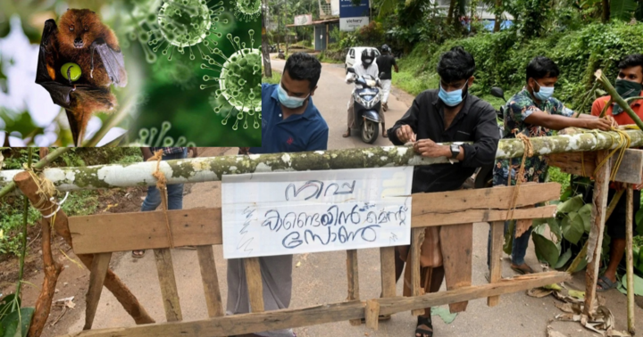 Virus Nipah: Tỷ lệ tử vong cao gấp 20 lần so với mắc Covid -19