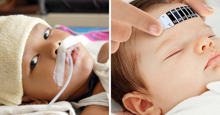 Hà Nội ghi nhận ca viêm não Nhật Bản đầu tiên trong năm 2023