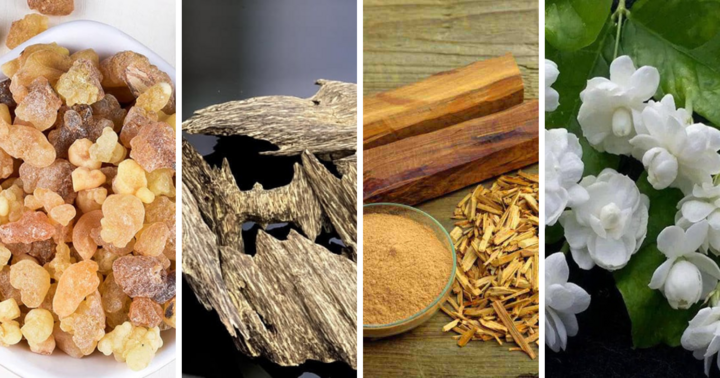 Đâu là những mùi hương đắt đỏ nhất thế giới, được ví như đang hít triệu đô vào phổi