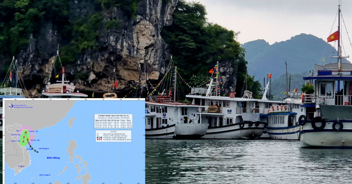 Ứng phó cơn bão số 5: Quảng Ninh tạm ngừng cấp phép cho tàu, thuyền ra khơi