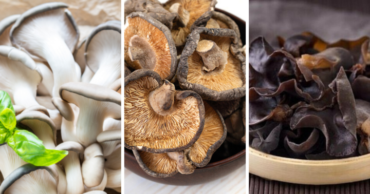 3 loại nấm quen thuộc lọt top 