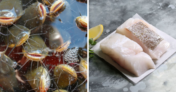 Chuyên gia khuyên chị em nội trợ nên 