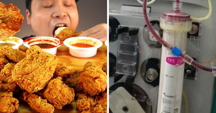 Liên tục ăn trưa với gà rán, huyết tương chàng trai chuyển màu bất thường