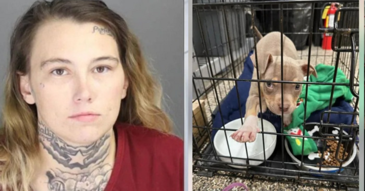 Gây tai nạn rồi bỏ trốn, cô gái có hành động nhẫn tâm với 