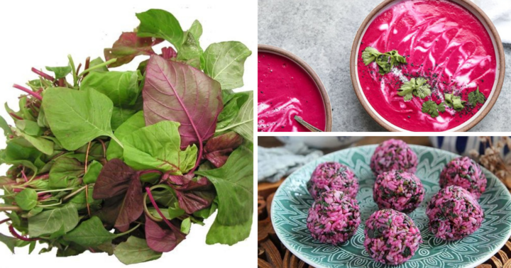 Loại rau được ví như 