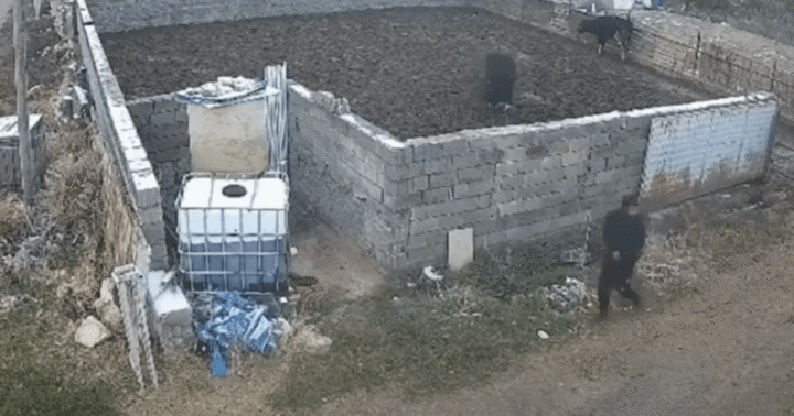 Chó dữ bất ngờ tấn công, người đàn ông có hành động gây sốc khiến con vật phải 