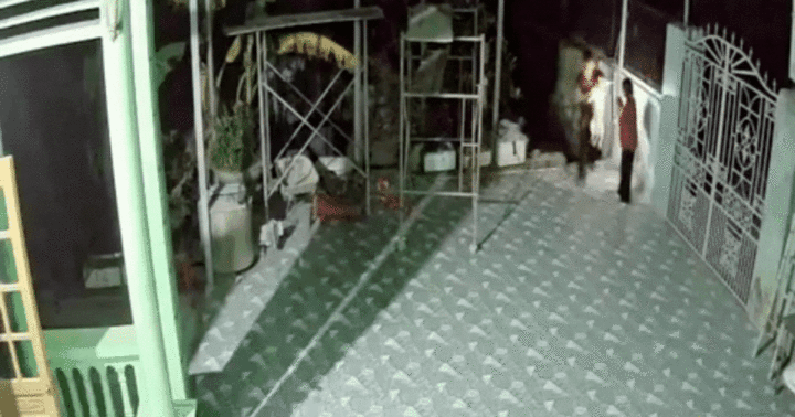 Cún con mất tích 4 ngày tìm được đường về nhà, cảm xúc vỡ òa của chủ