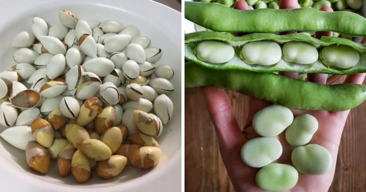 Những loài quả có vỏ chứa chất độc và gây nguy hiểm sức khỏe, tuyệt đối không ăn cả vỏ kẻo 