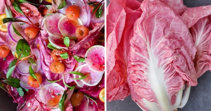 Loại rau sống trong