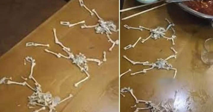 Bị tố ăn bớt thịt ếch trong nồi lẩu, chủ nhà hàng có hành động khiến khách hàng bẽ mặt