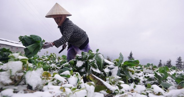 Tin tức dự báo thời tiết hôm nay 23/12: Bắc Bộ trời rét đậm, vùng núi băng giá và sương muối