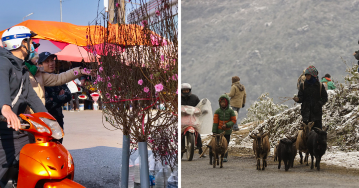 Dự báo thời tiết Tết Dương lịch, liệu miền Bắc còn rét đậm hay không?