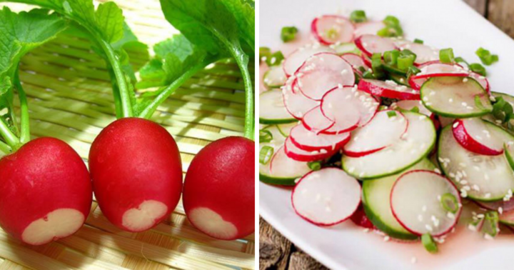 Củ cải đường nhiều tinh bột liệu có