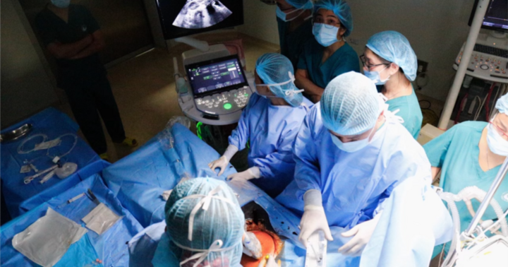 Cứu sống một bào thai bị dị tật tim bẩm sinh nặng ngay từ trong bụng mẹ