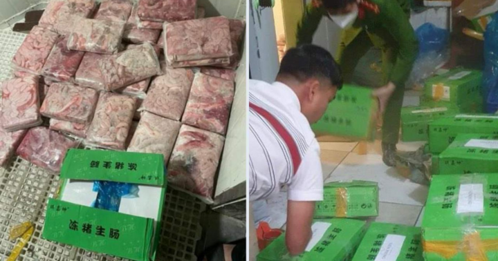 Tạm giữ hơn 1 tấn tràng lợn