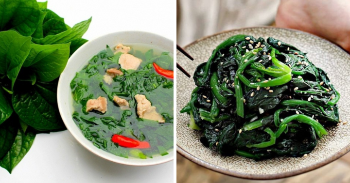 Để giữ sức khỏe thai nhi, mẹ bầu có nên ăn lá lốt hay không?