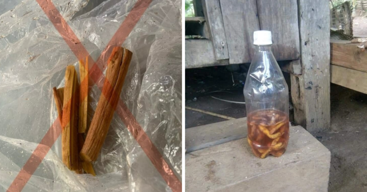 Quảng Ngãi: 1 người tử vong và 3 người cấp cứu nghi ngộ độc do uống nước rễ cây rừng