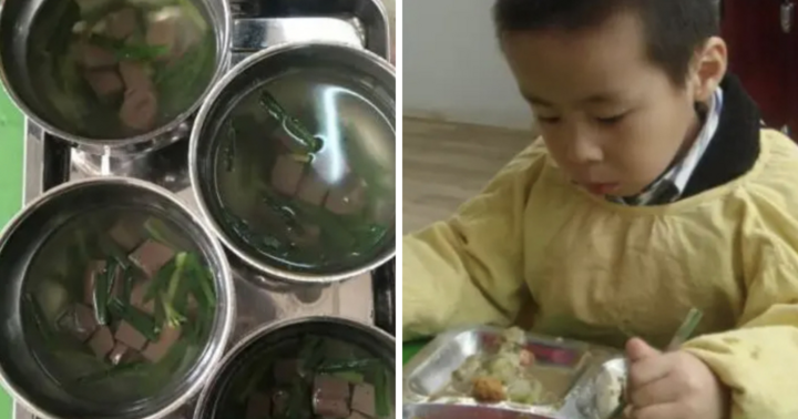 Con hào hứng khoe bữa trưa ở trường, hình ảnh thực tế khiến mẹ 