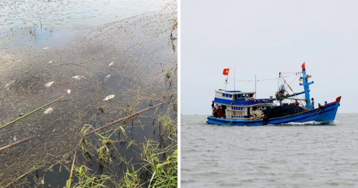 Tin nóng 24h hôm nay ngày 23/1: Xác định nguyên nhân cá chết hàng loạt tại đầm ở Bình Định