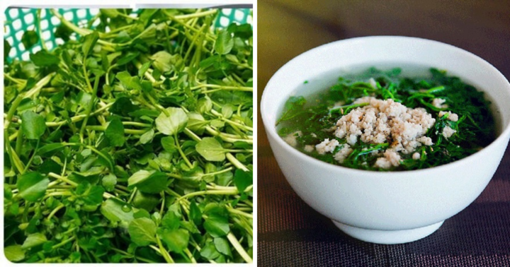 Loại rau mọc đầy ở Viêt Nam, tốt cho sức khỏe, được CDC Mỹ nhận định là