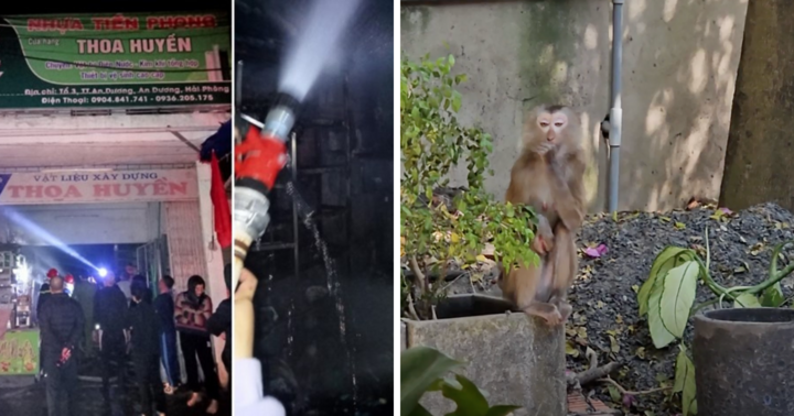 Tin nóng 24h hôm nay ngày 31/1: Làm rõ nguyên nhân vụ cháy cửa hàng vật liệu xây dựng ở Hải Phòng