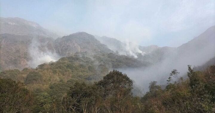 Yên Bái: Làm rõ nguyên nhân cháy rừng ở Trạm Tấu thiêu rụi gần 110ha