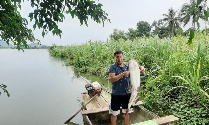 Thanh Hóa: Ngư dân bắt được cá lăng