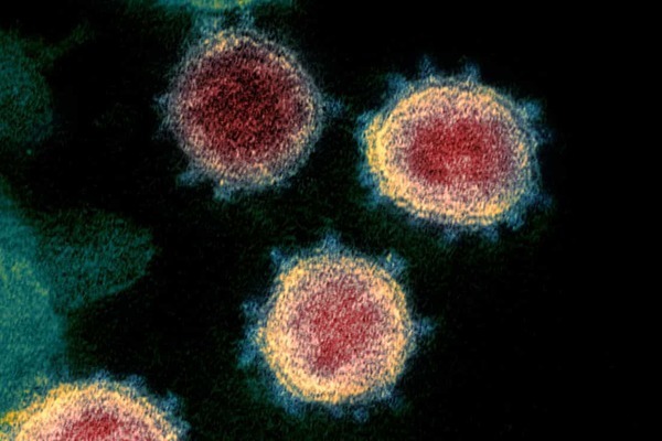 Nghiên cứu tại Đan Mạch: Omicron lây lan nhanh nhờ khả năng lẩn tránh miễn dịch